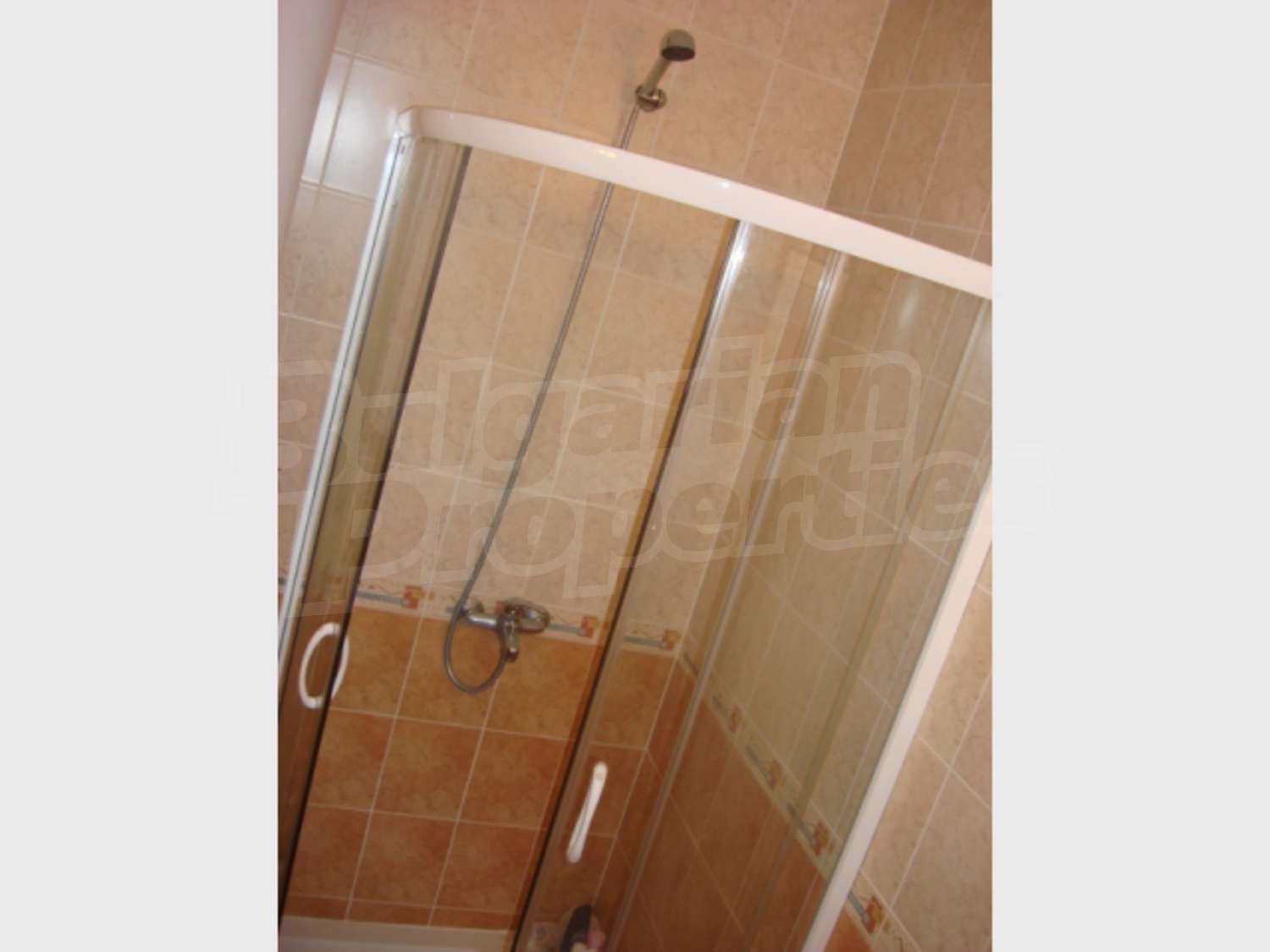 Gallery Picture 26