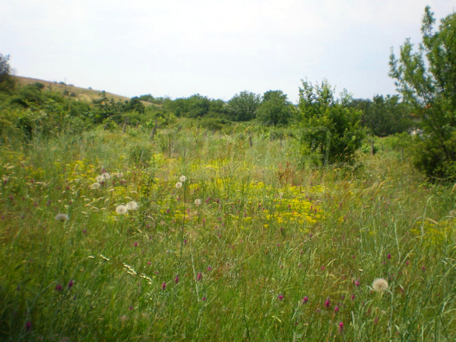 Gallery Picture 10
