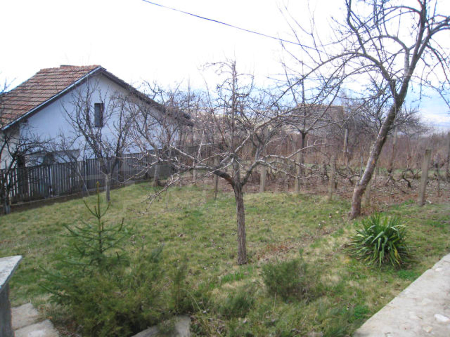 Gallery Picture 14