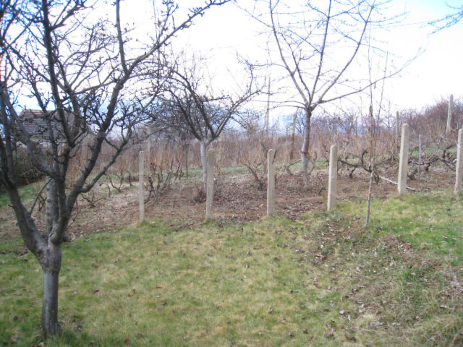 Gallery Picture 15