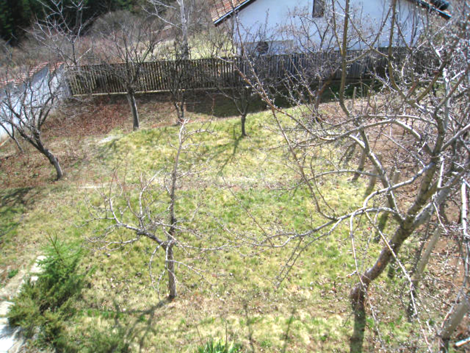 Gallery Picture 16