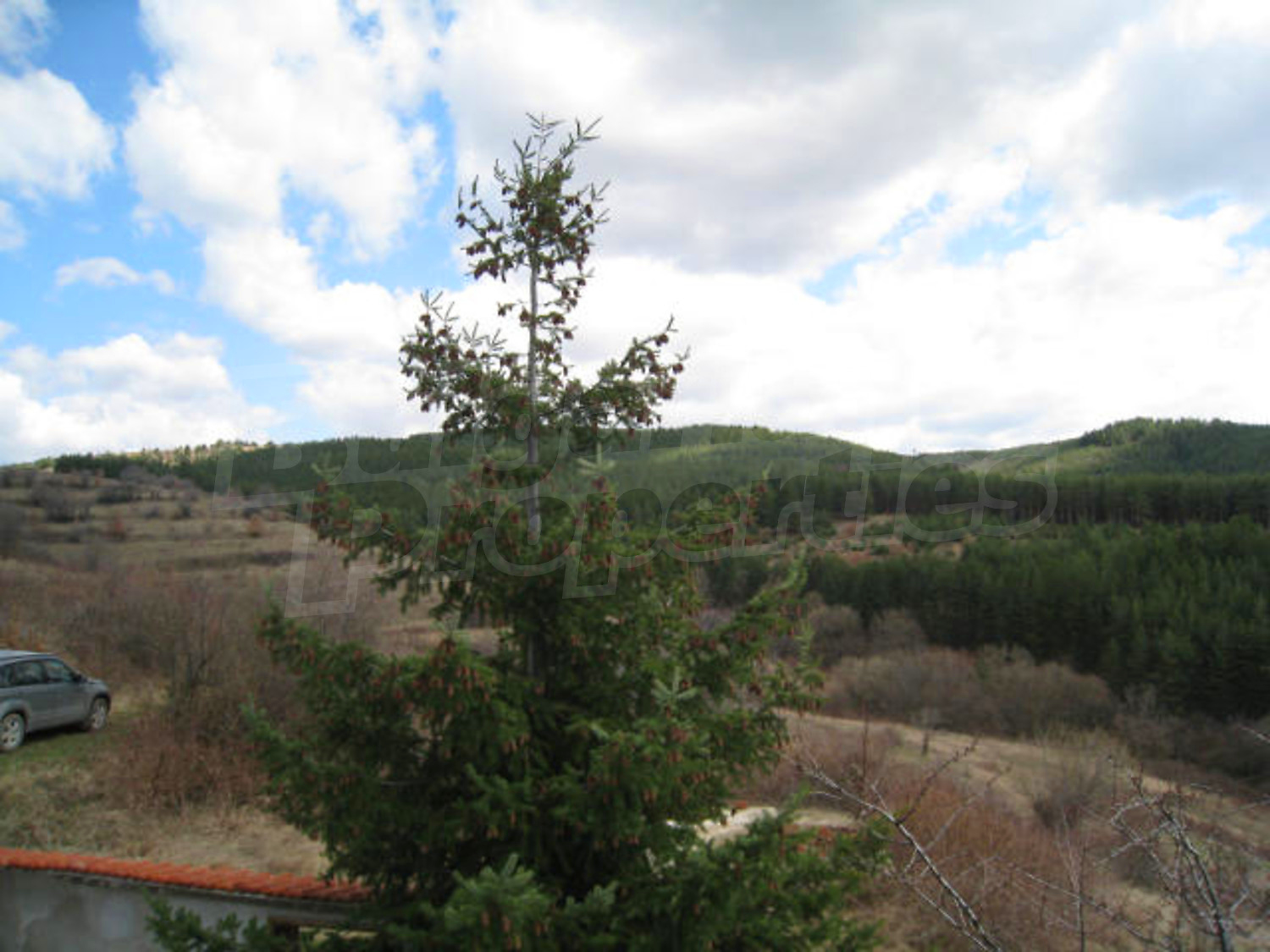 Gallery Picture 17
