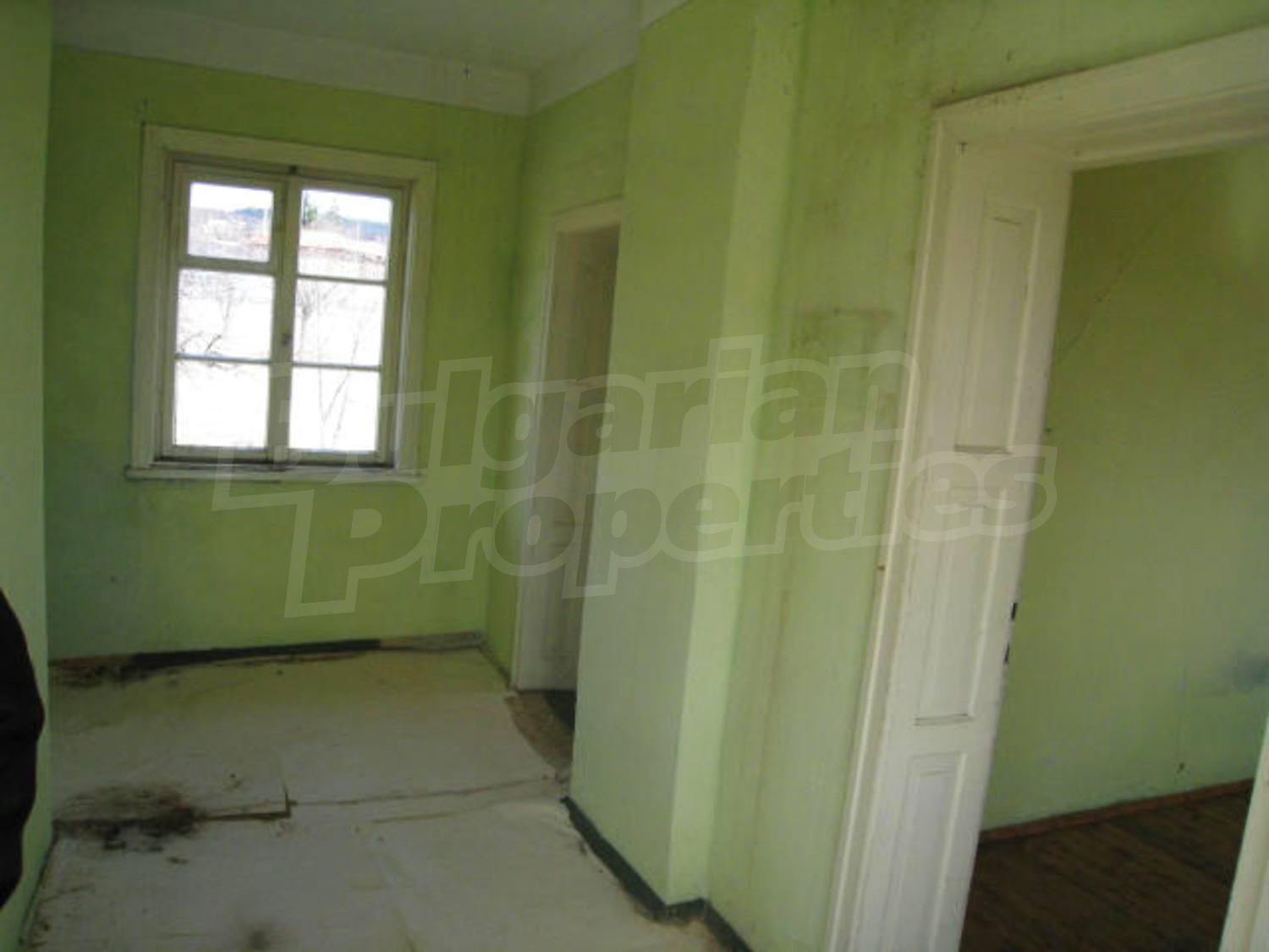 Gallery Picture 10