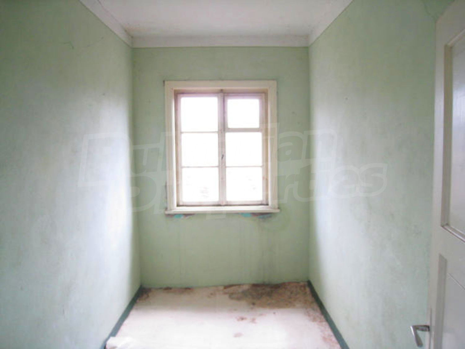 Gallery Picture 11
