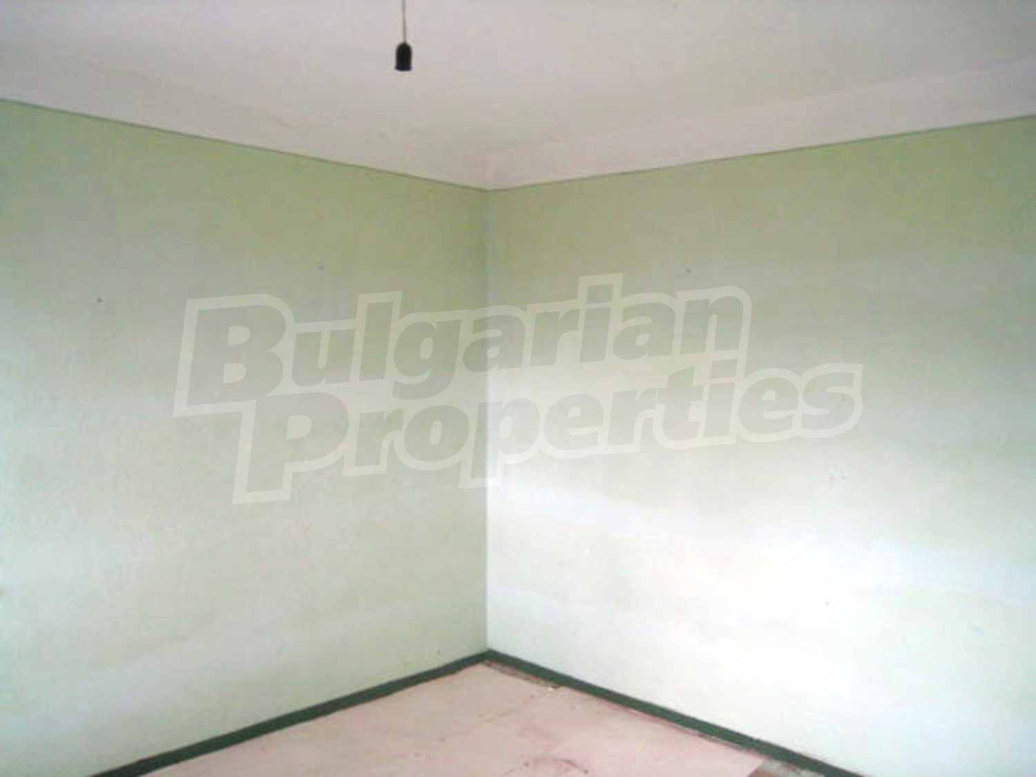 Gallery Picture 12