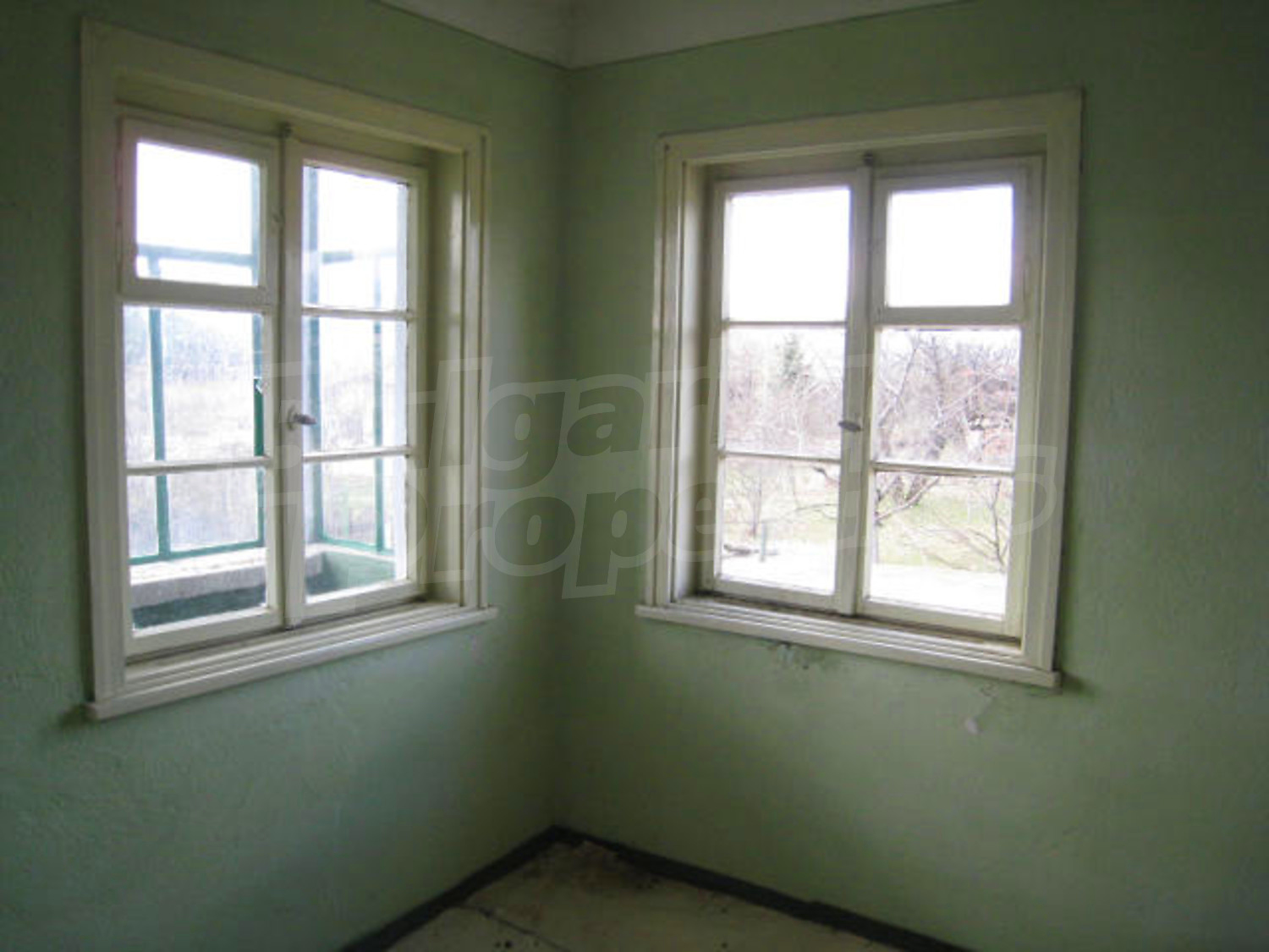 Gallery Picture 13