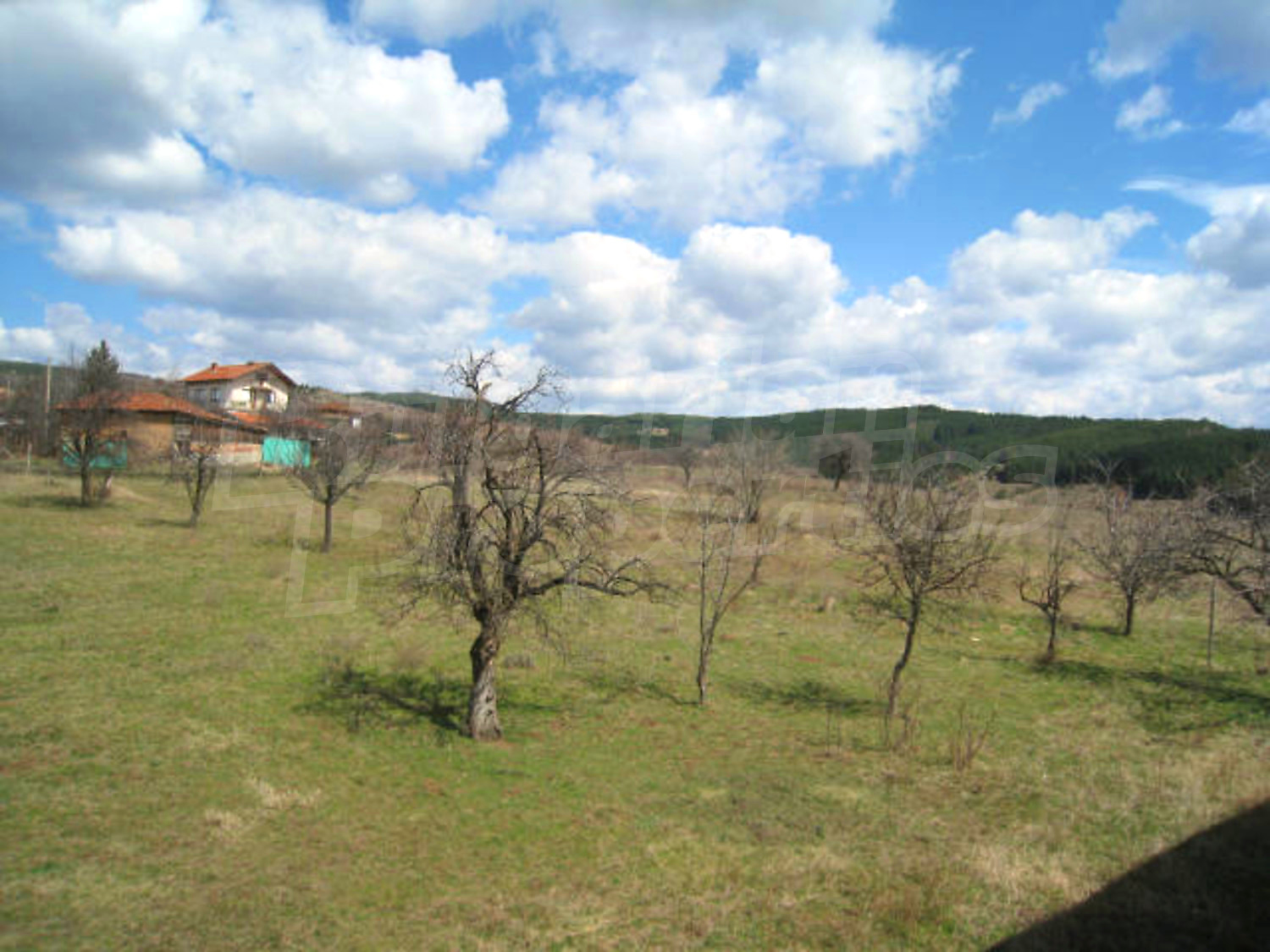 Gallery Picture 14