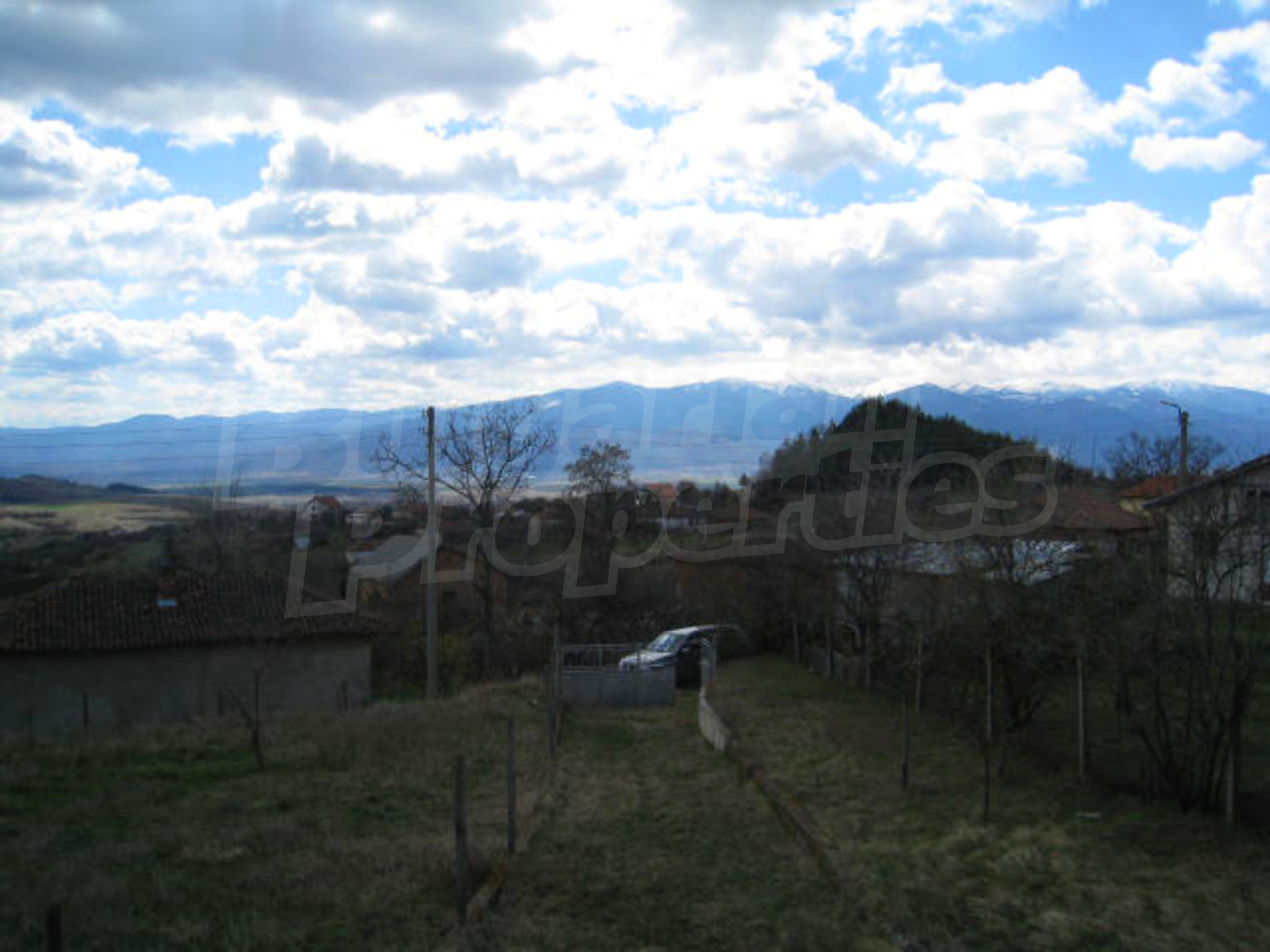 Gallery Picture 21