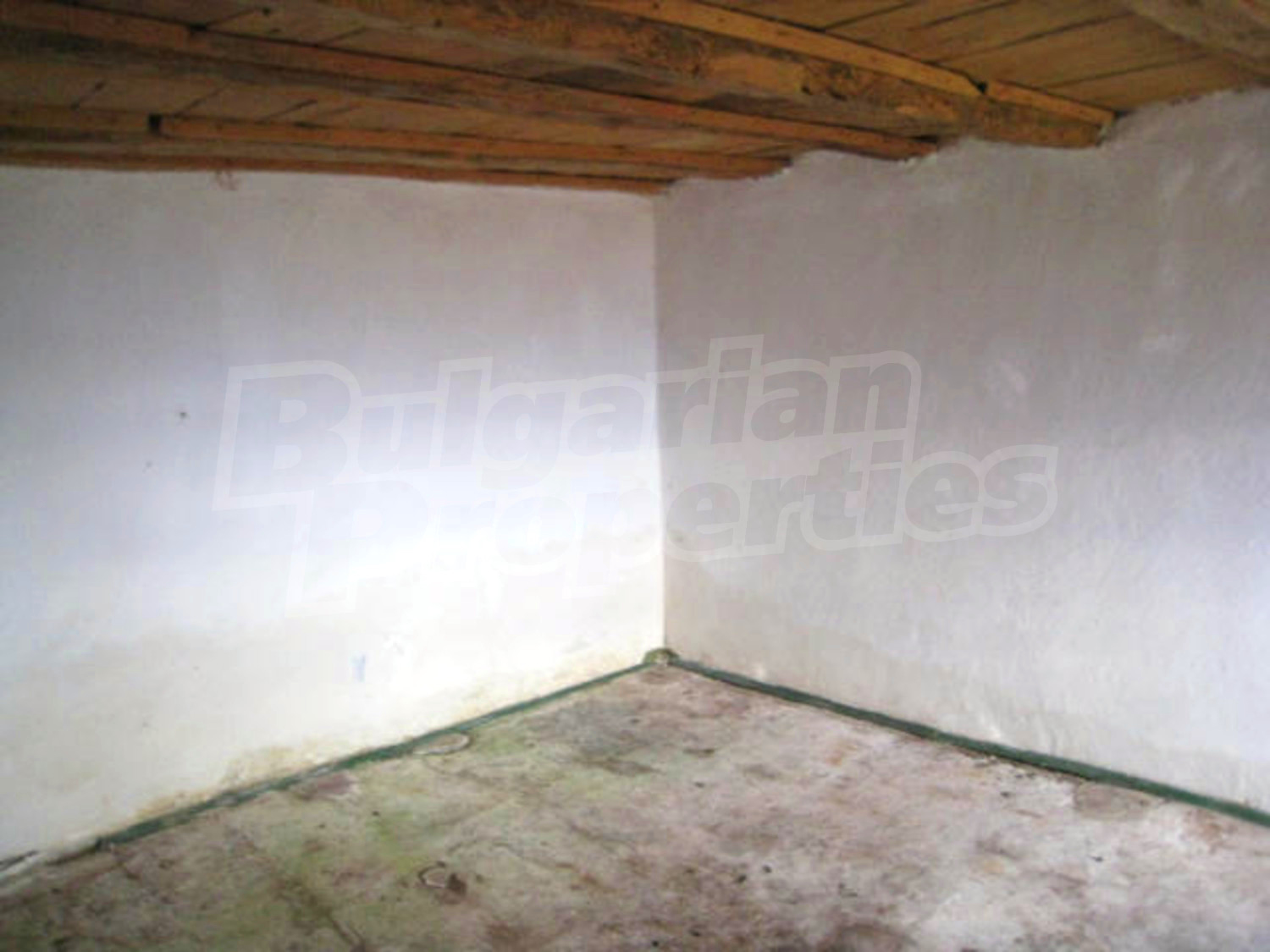 Gallery Picture 6
