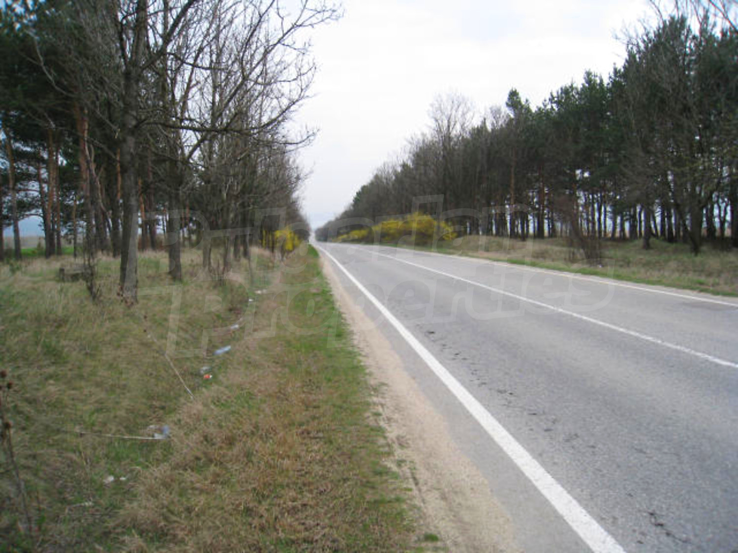 Gallery Picture 10