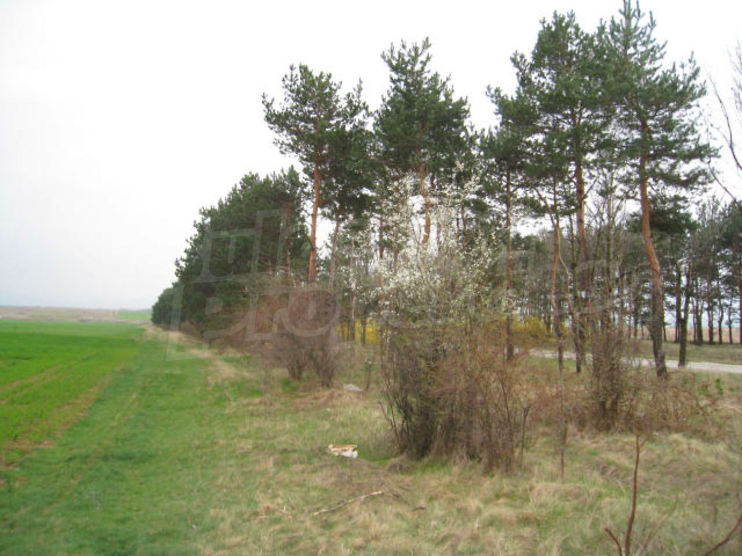 Gallery Picture 8