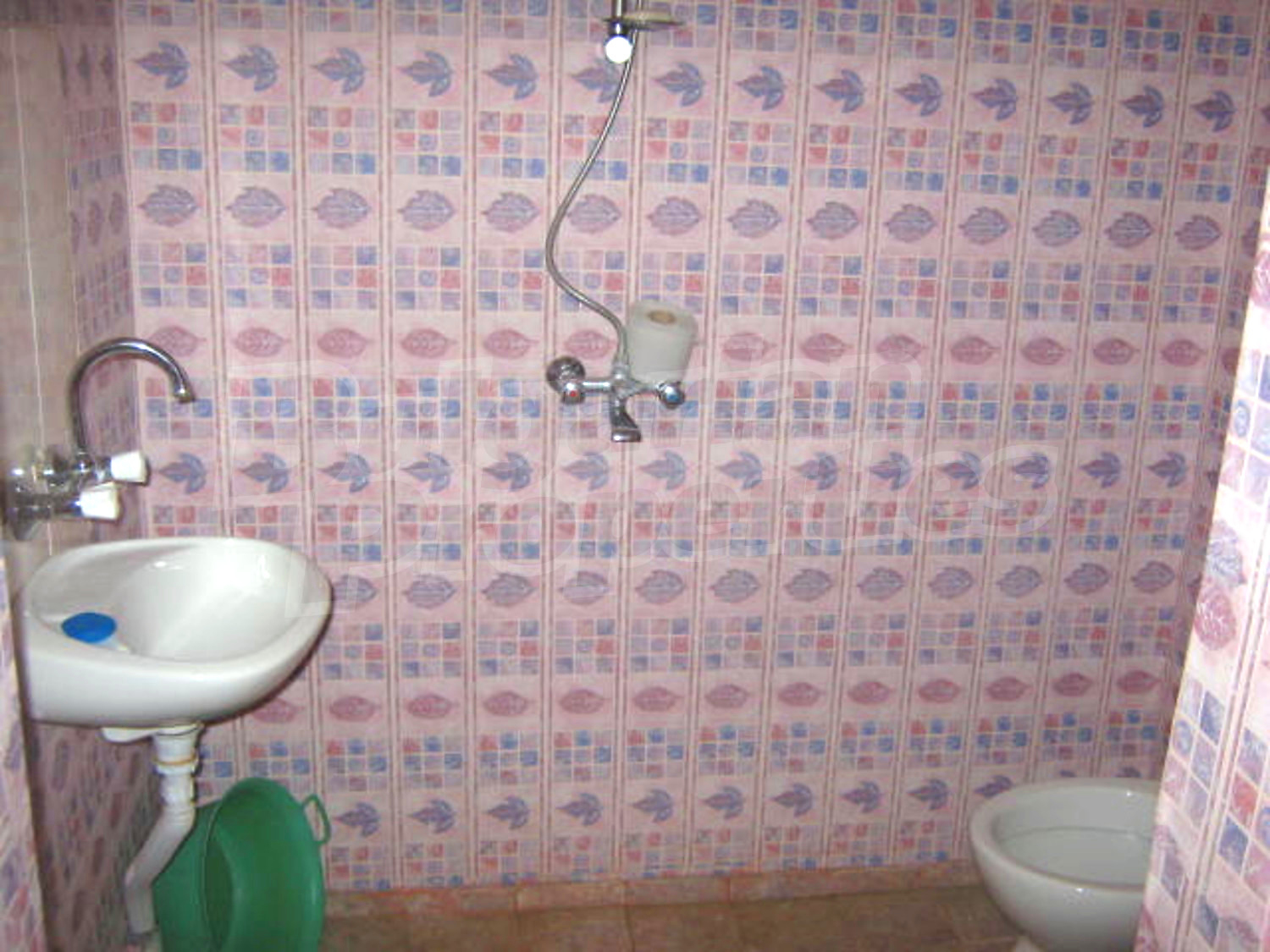 Gallery Picture 10