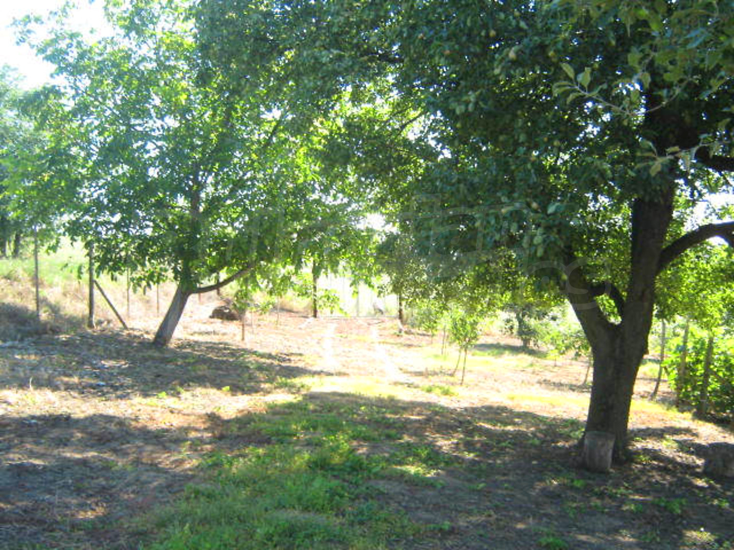 Gallery Picture 13
