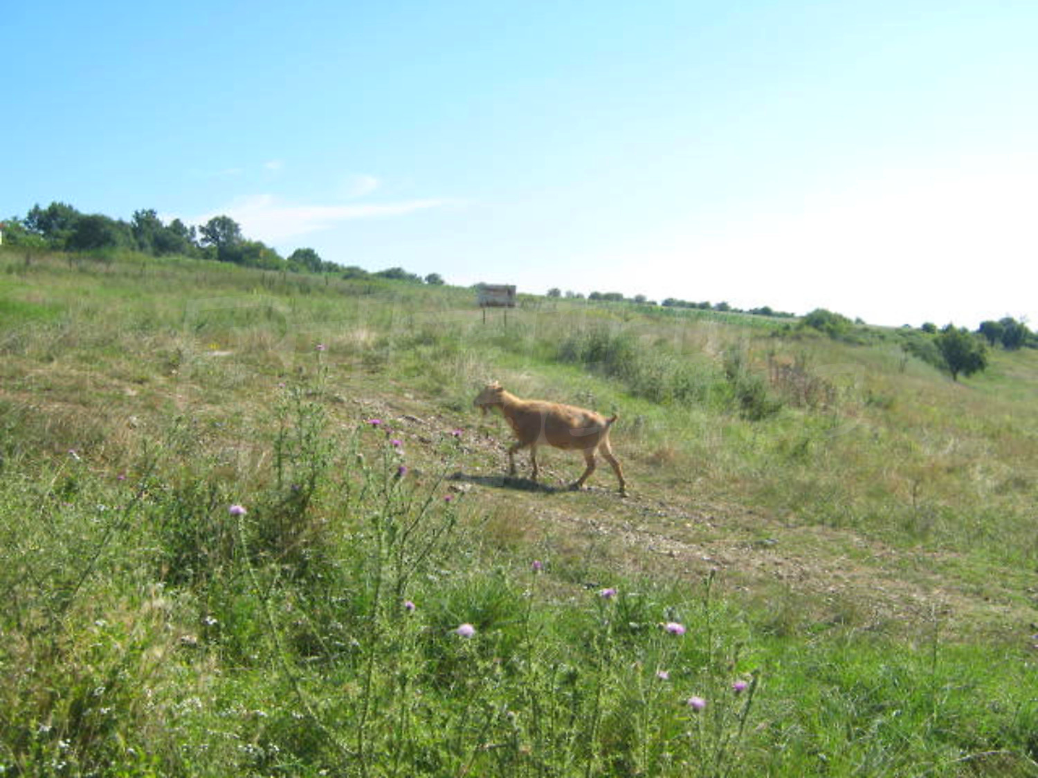 Gallery Picture 17
