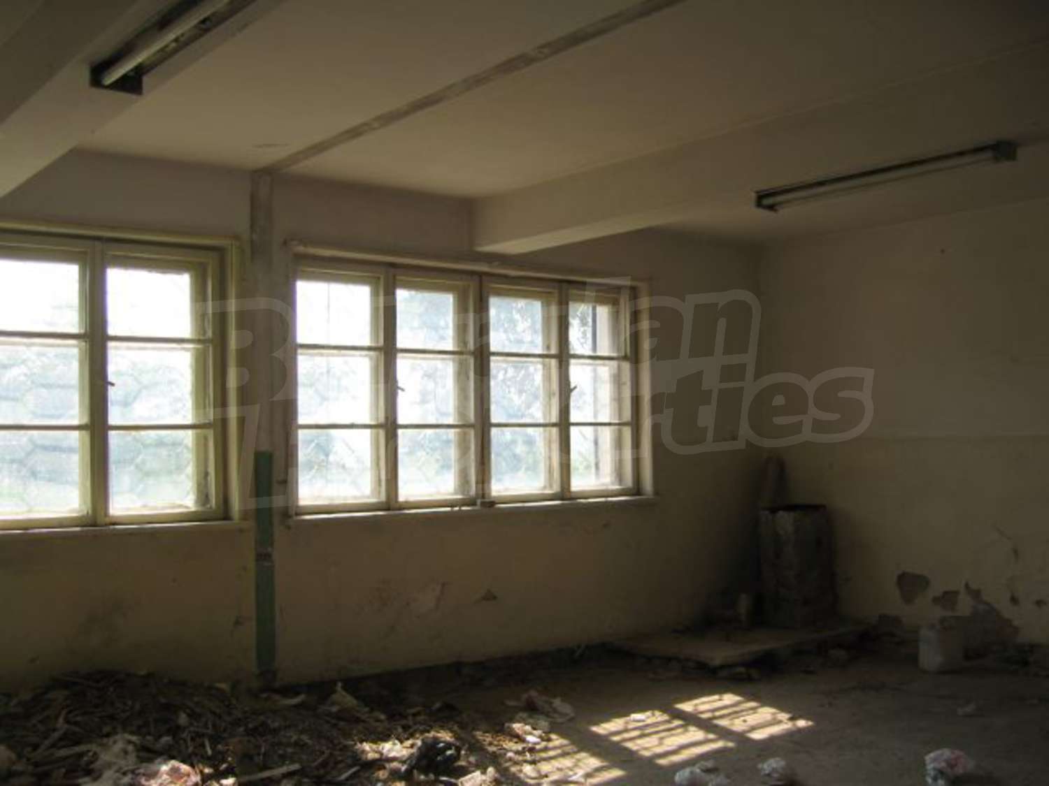 Gallery Picture 5