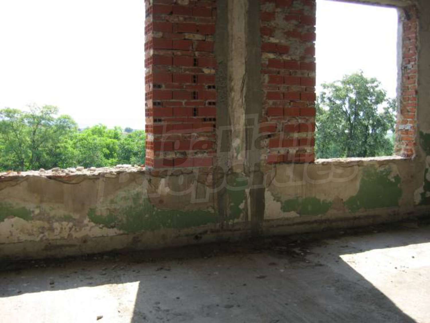 Gallery Picture 6