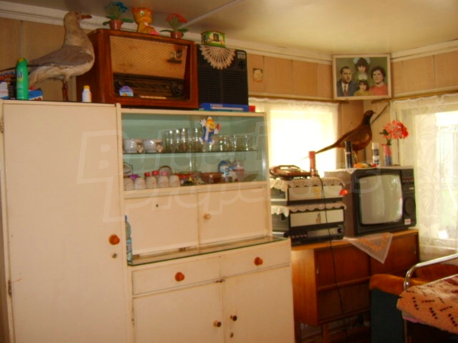 Gallery Picture 12
