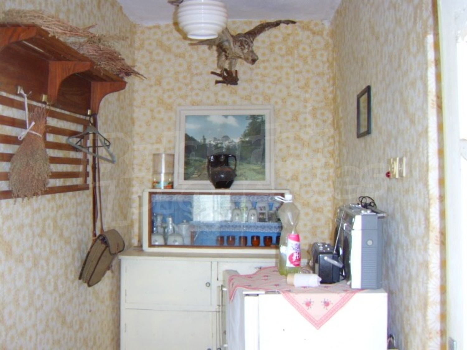 Gallery Picture 14