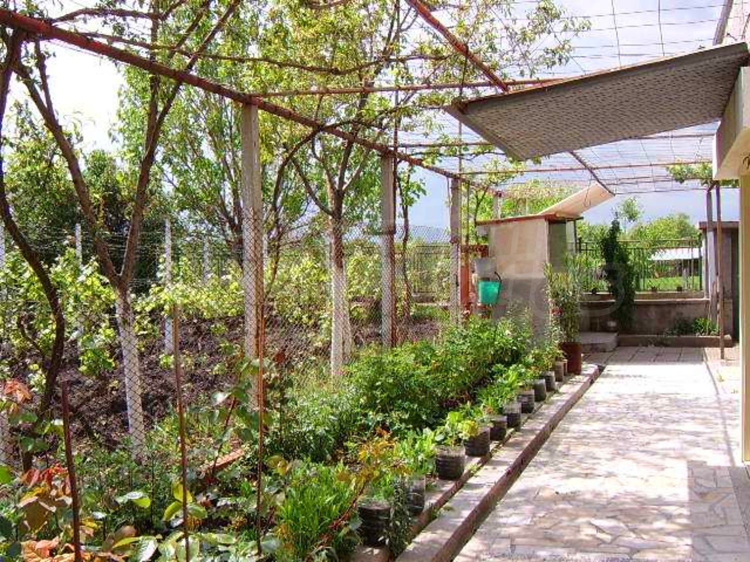Gallery Picture 25