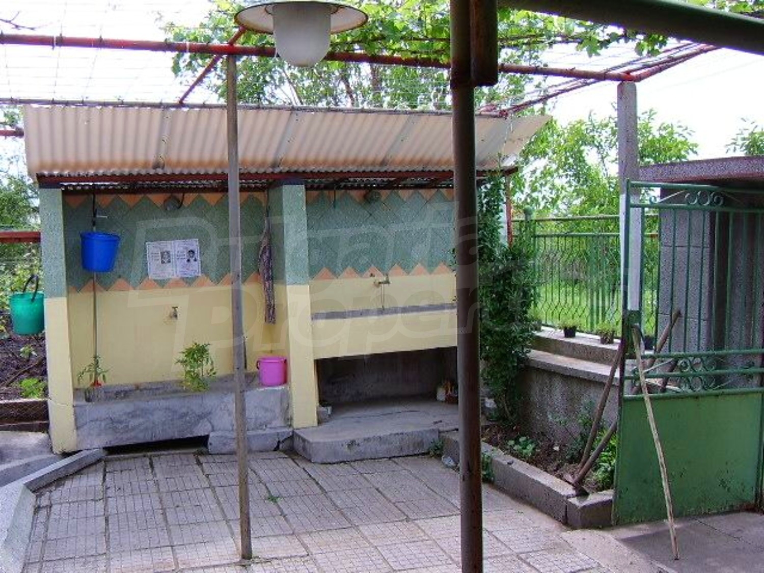 Gallery Picture 26