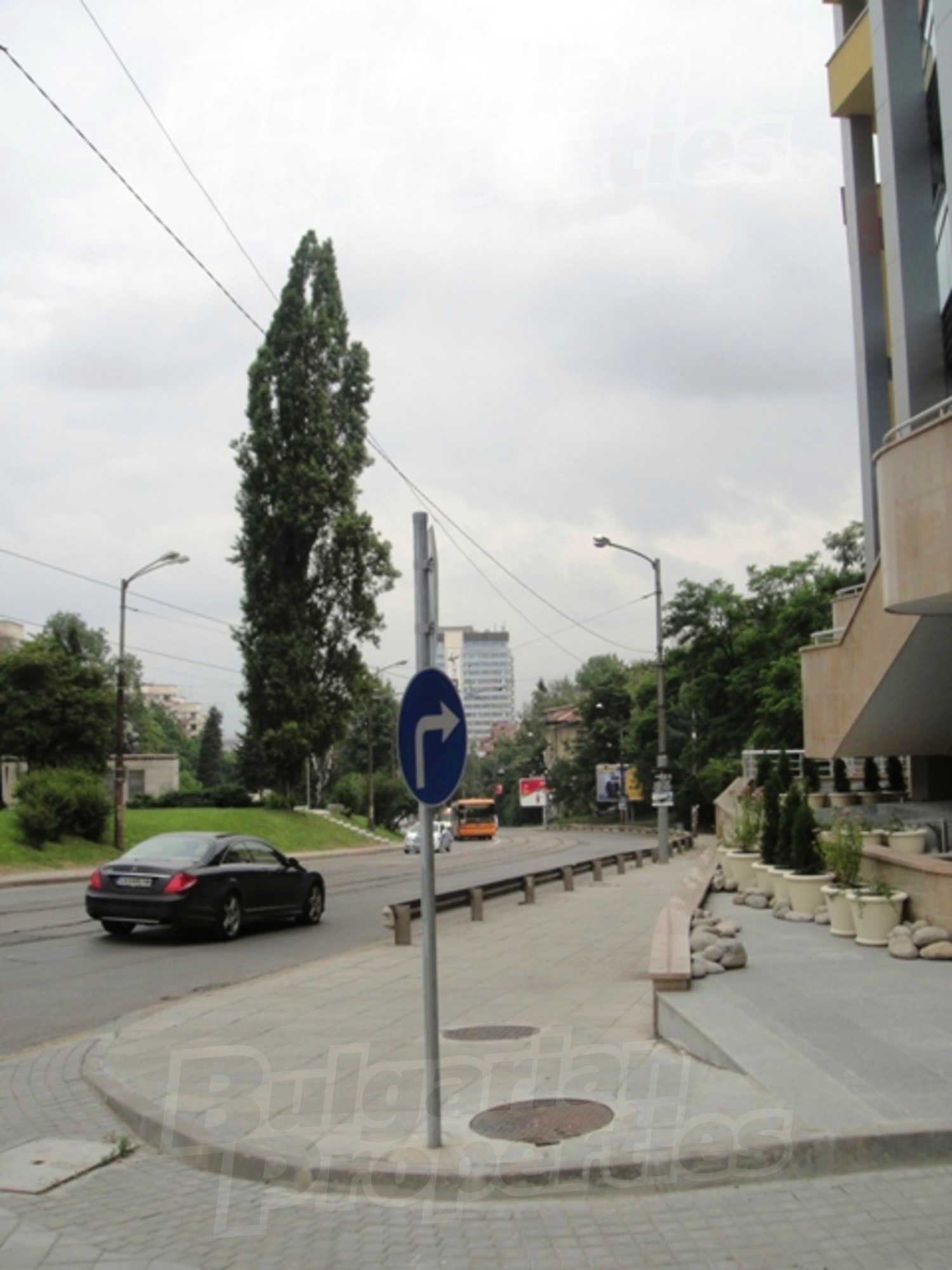 Gallery Picture 26