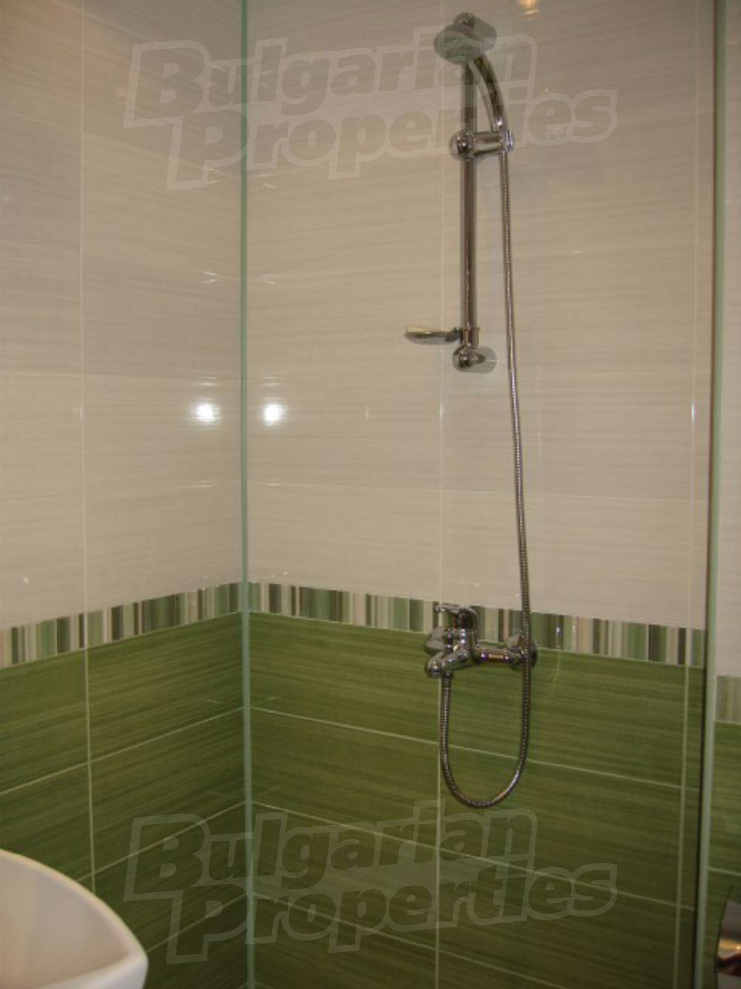 Gallery Picture 10