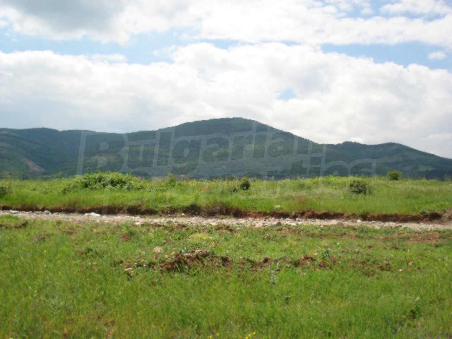 Gallery Picture 3