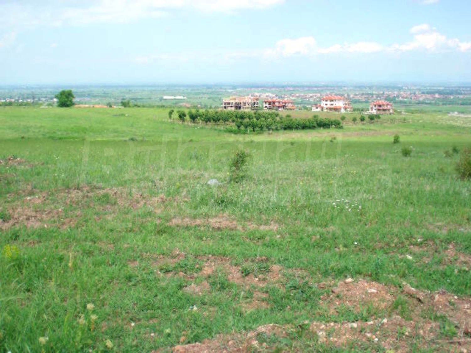 Gallery Picture 5