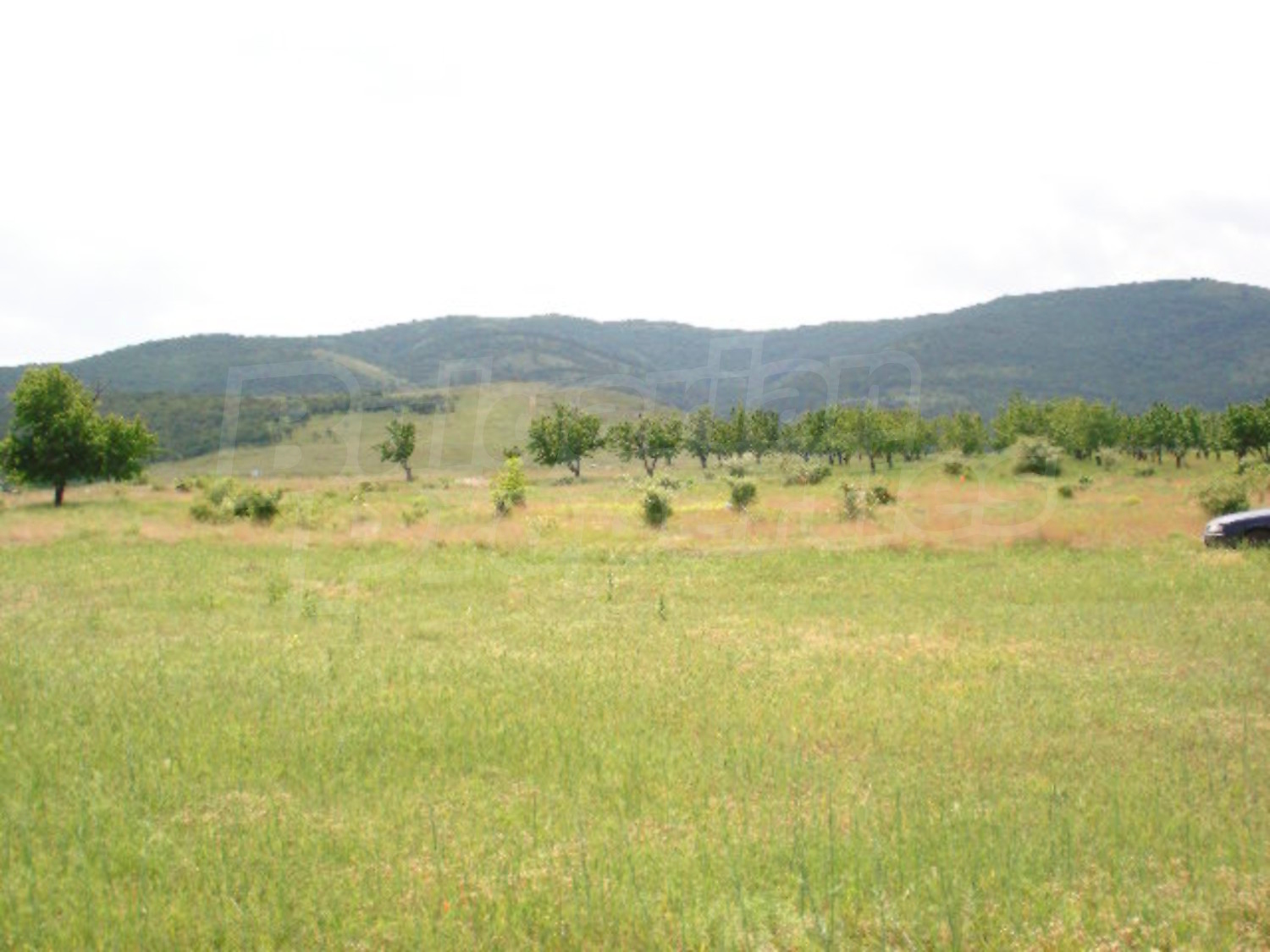 Gallery Picture 5