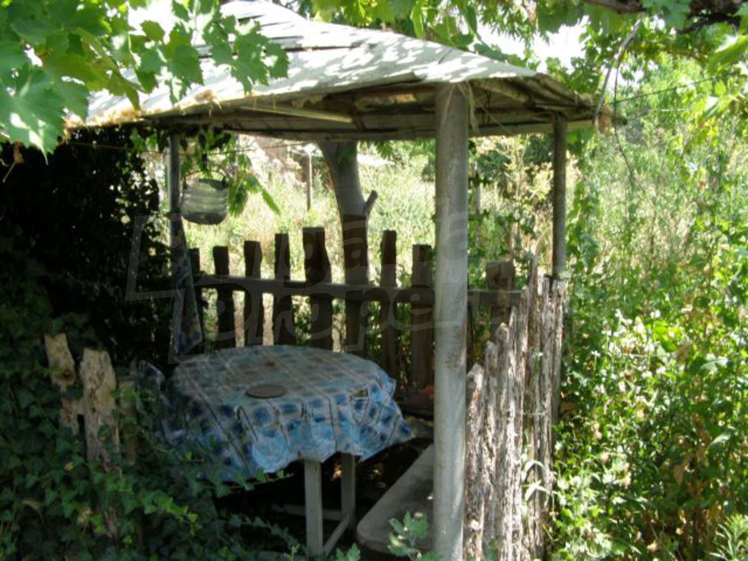 Gallery Picture 11