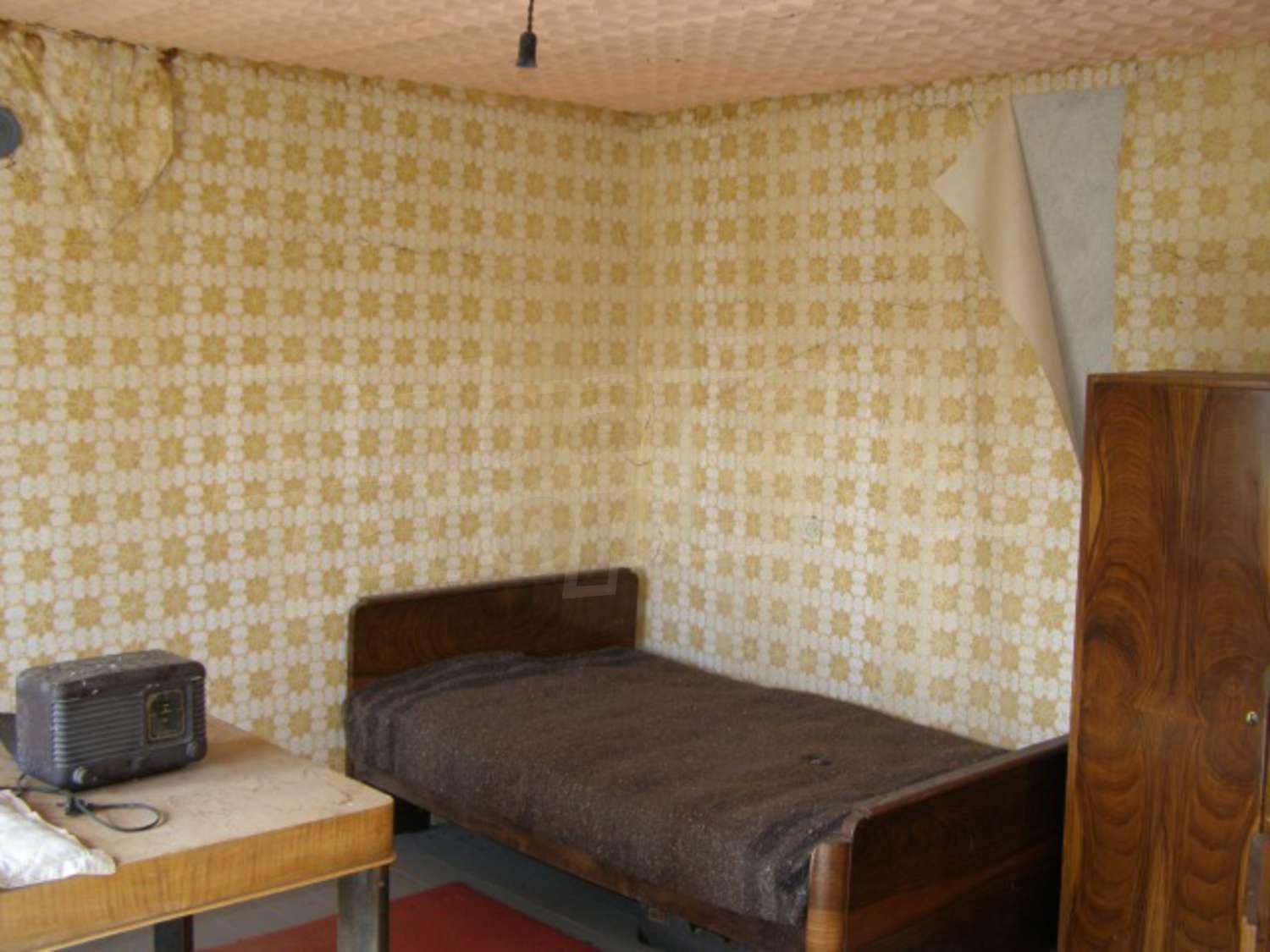 Gallery Picture 10