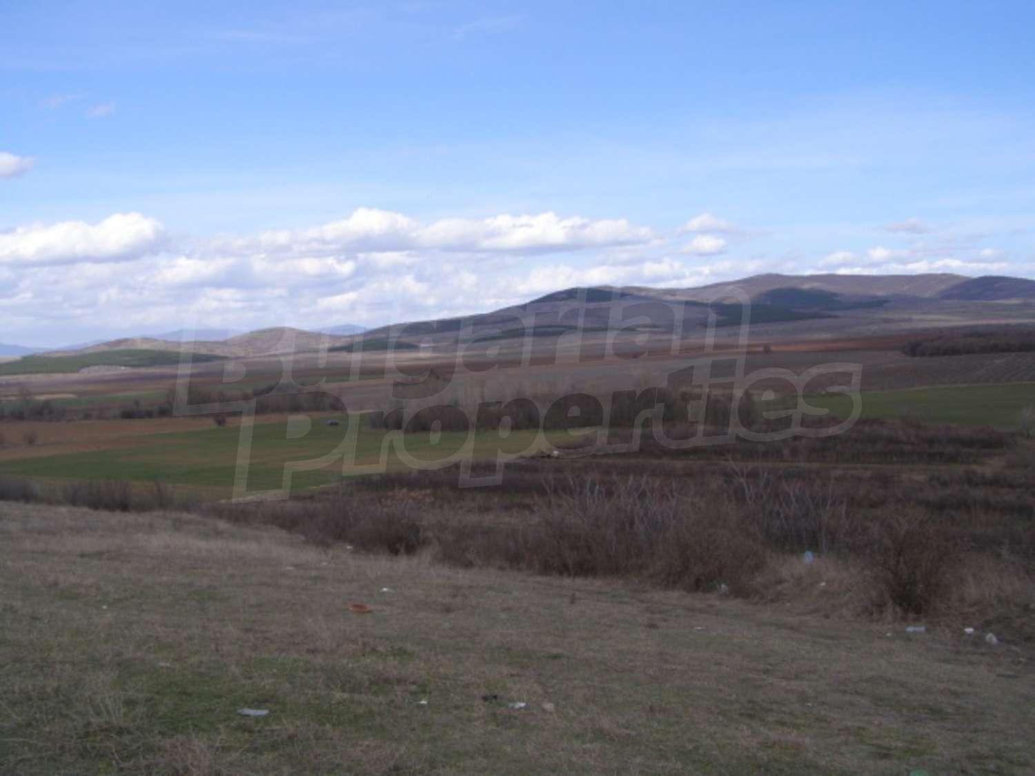 Gallery Picture 21