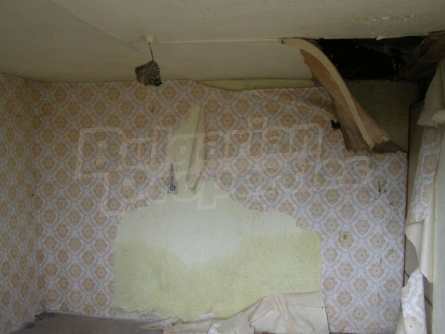 Gallery Picture 6