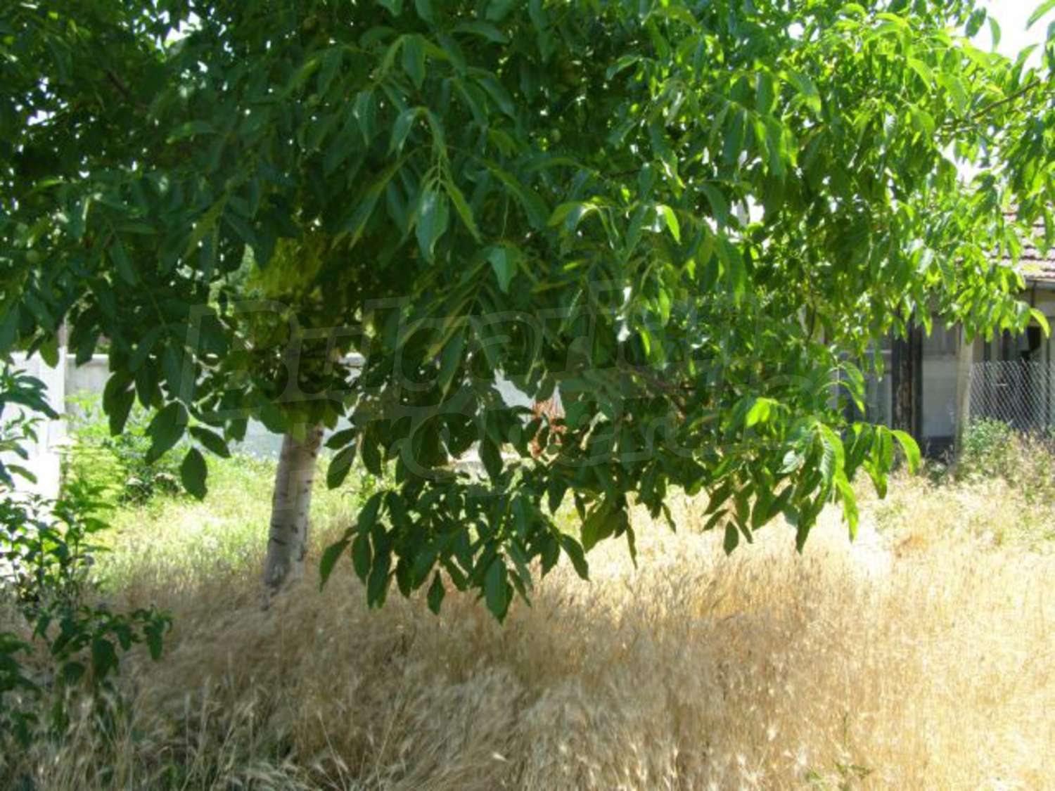 Gallery Picture 16