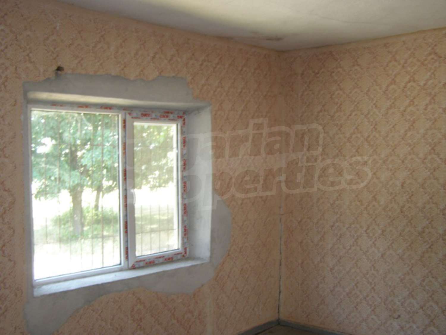 Gallery Picture 7