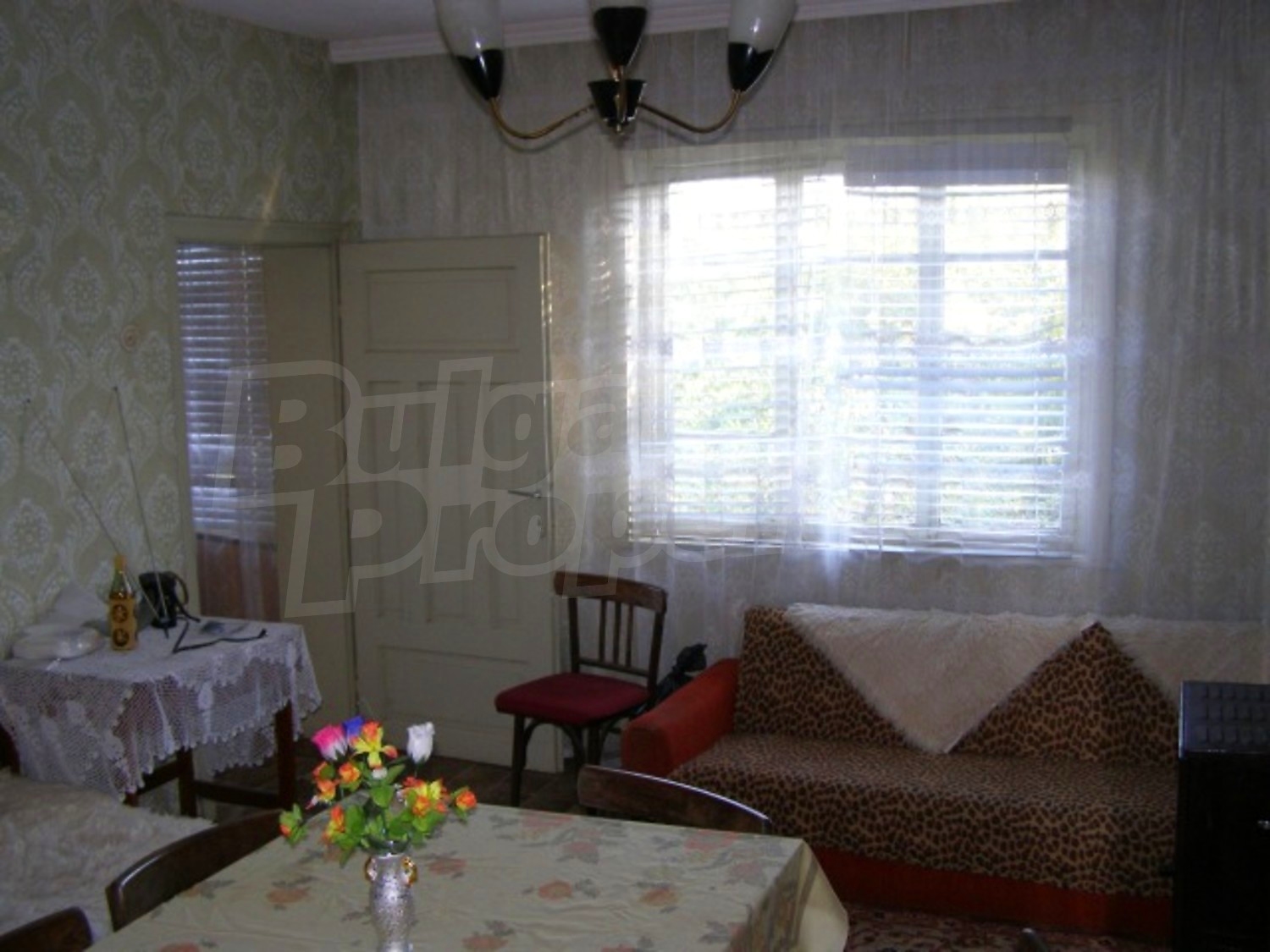 Gallery Picture 12