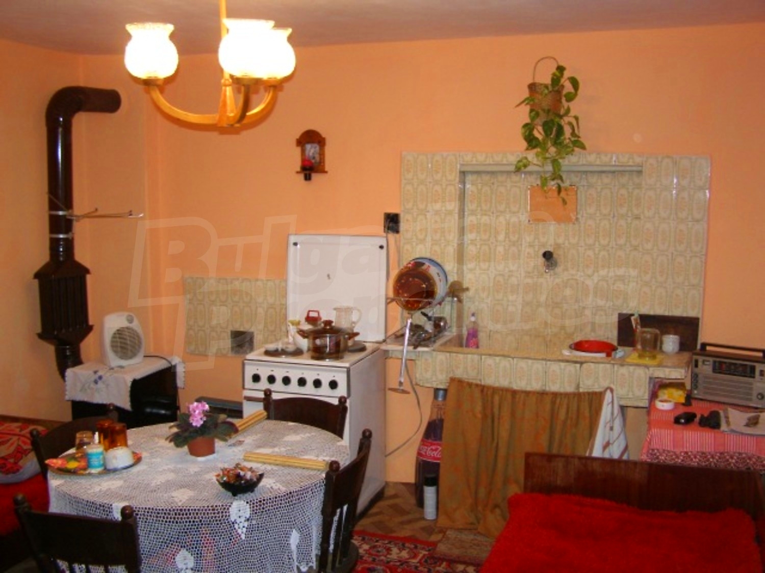 Gallery Picture 13