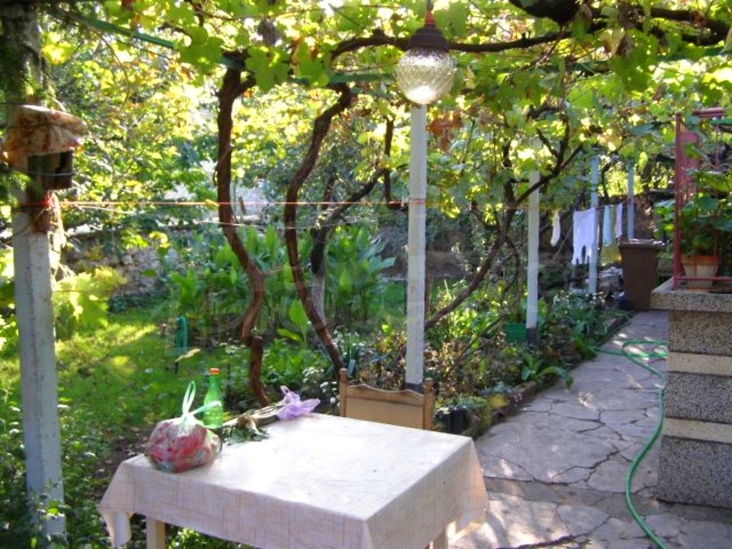 Gallery Picture 17