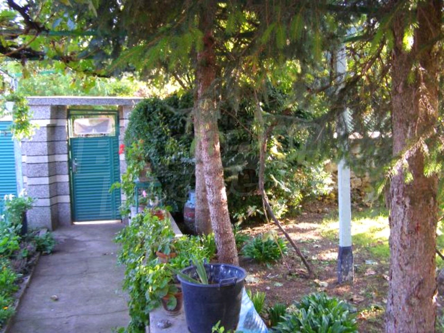 Gallery Picture 18