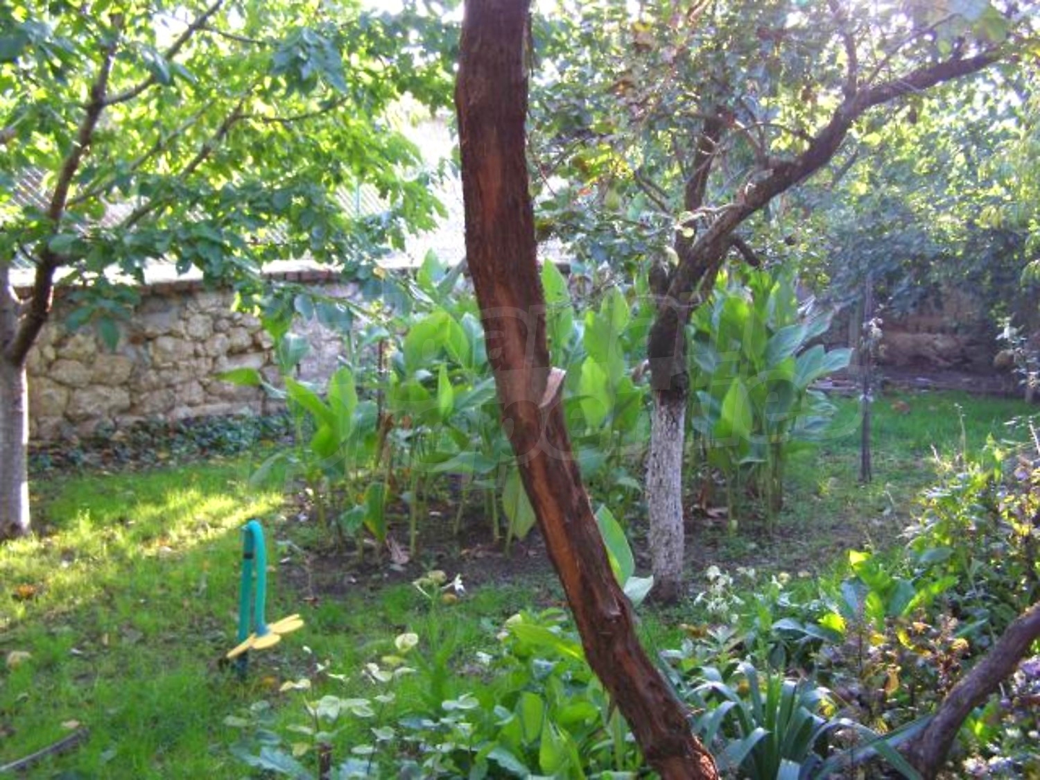 Gallery Picture 19