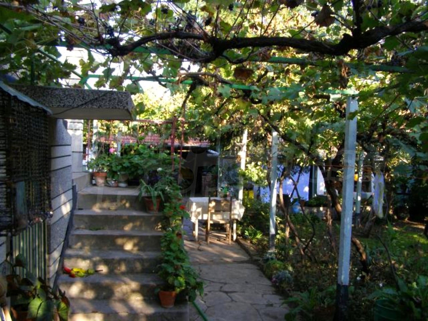 Gallery Picture 22