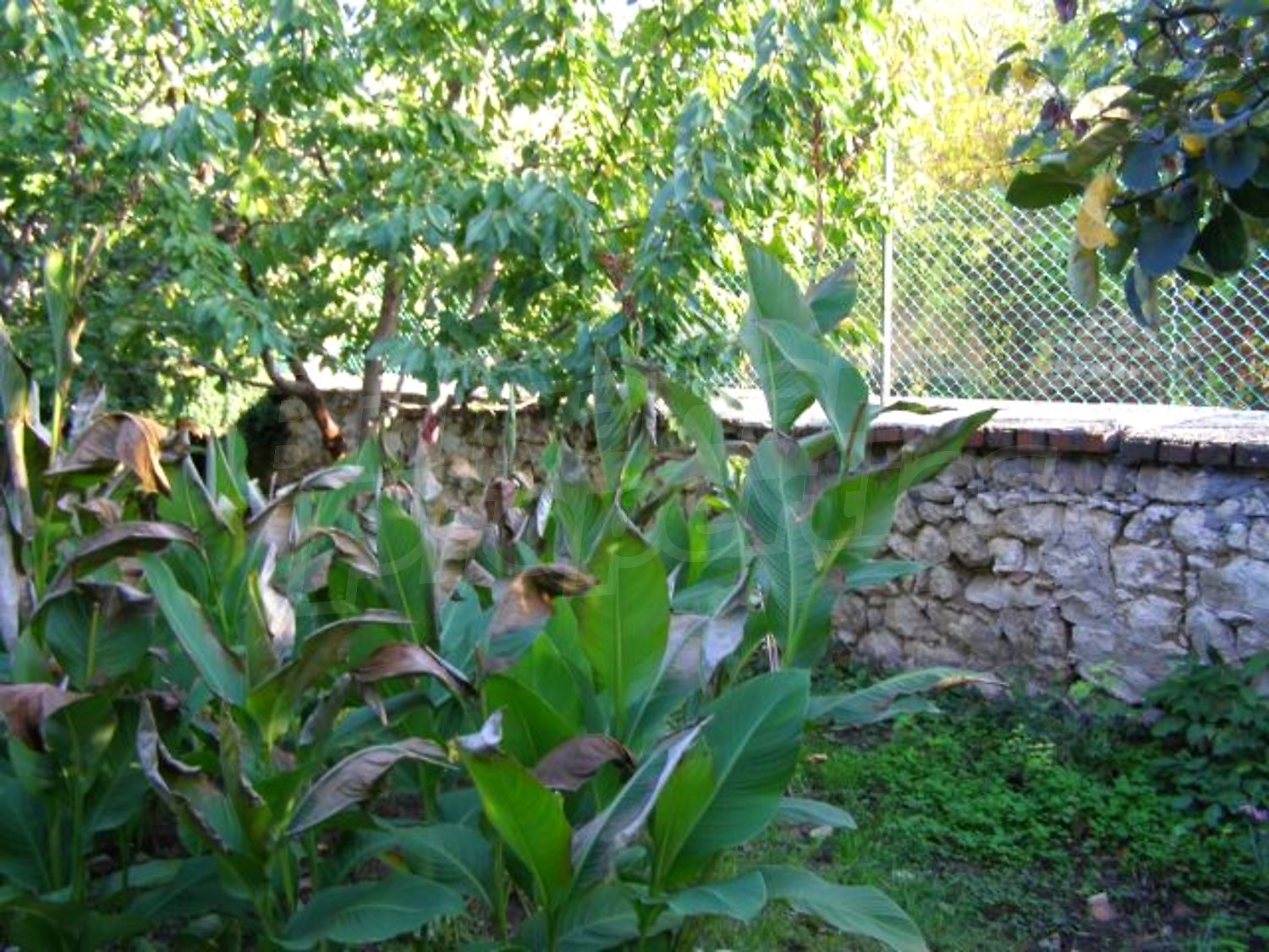 Gallery Picture 23