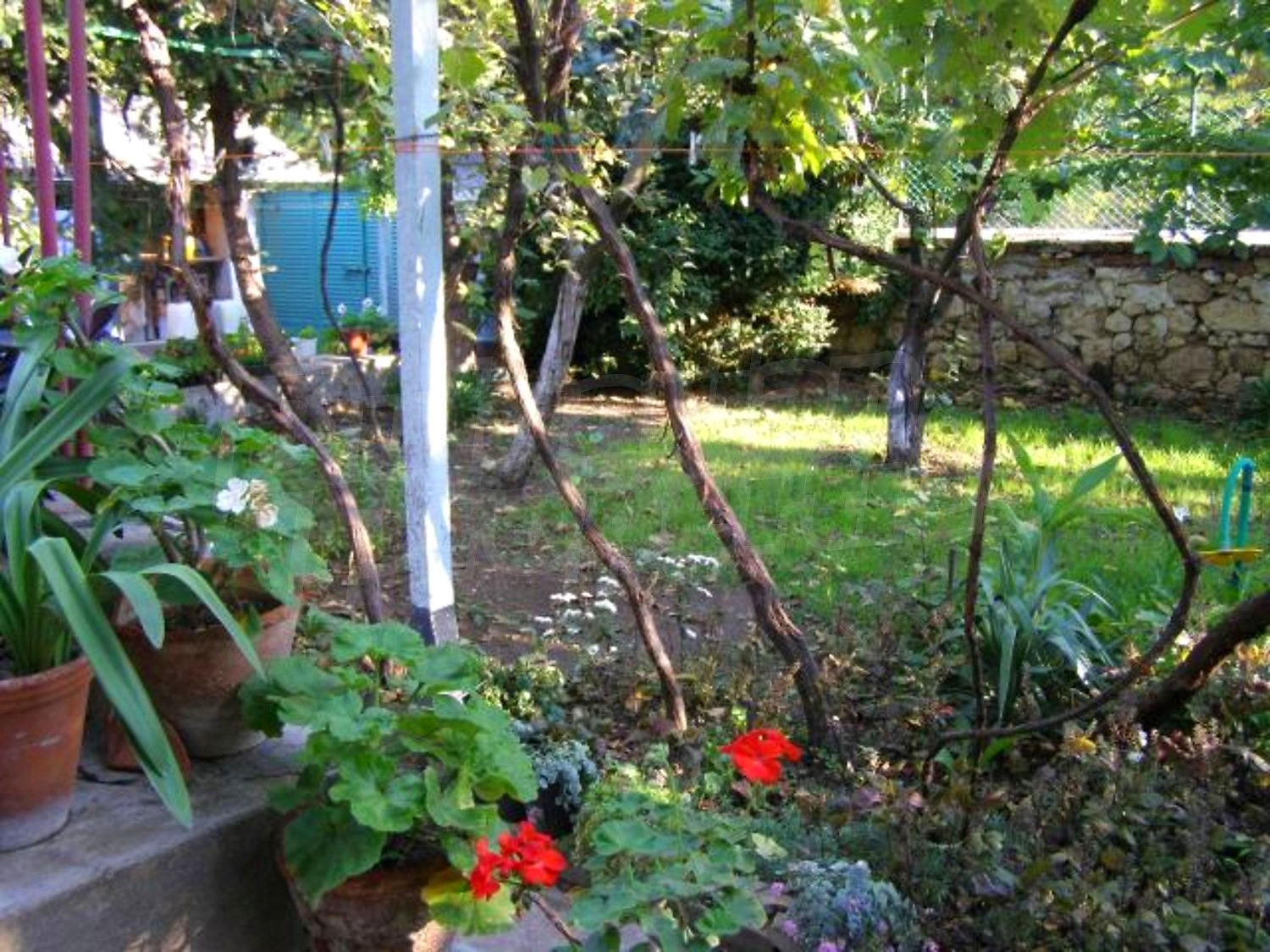 Gallery Picture 25
