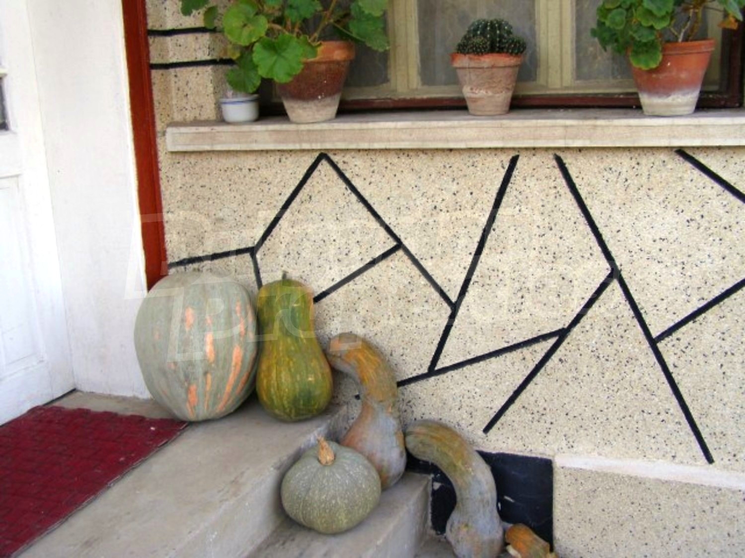 Gallery Picture 26