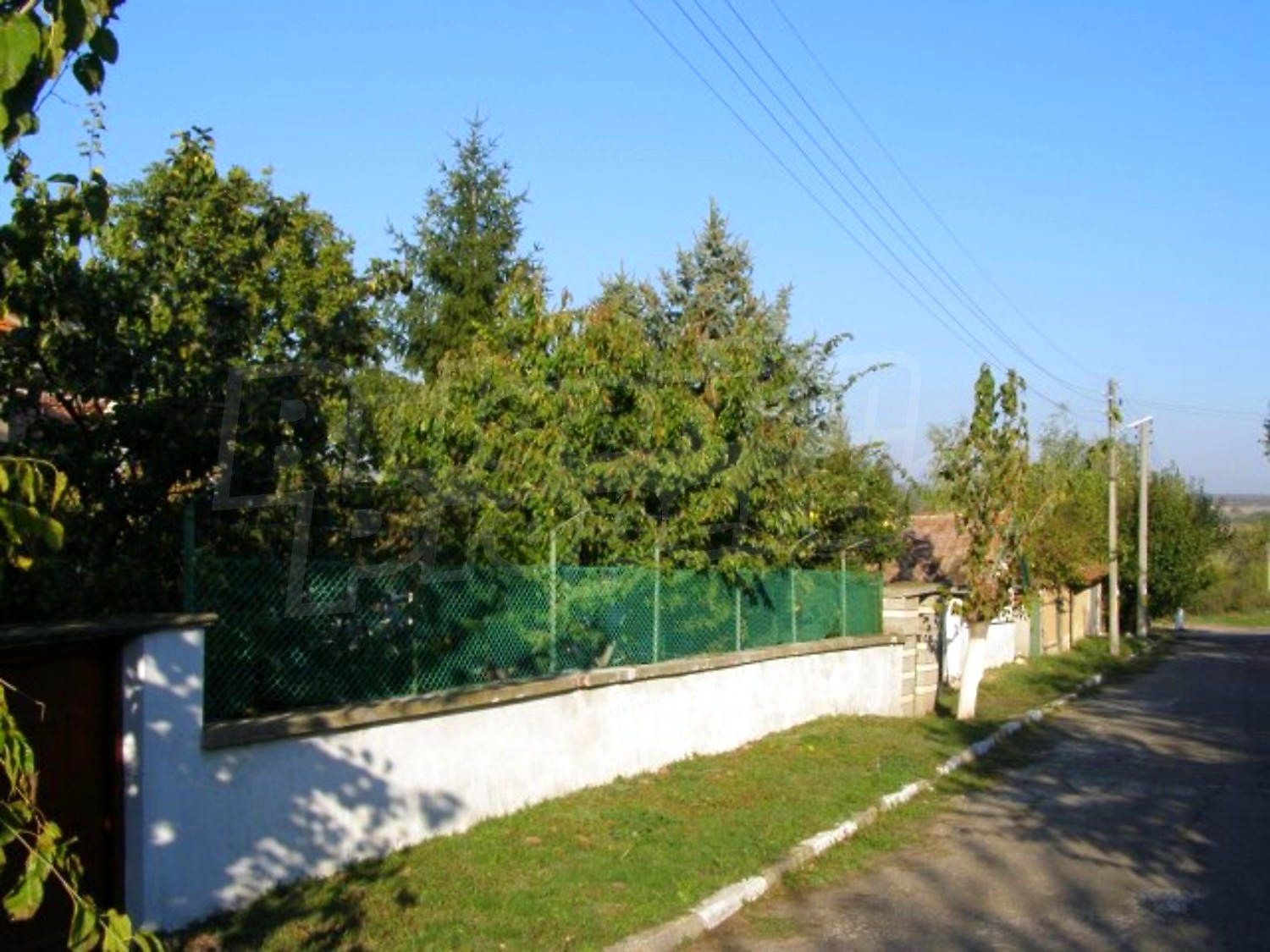Gallery Picture 37
