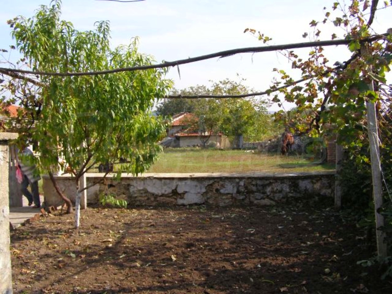 Gallery Picture 19