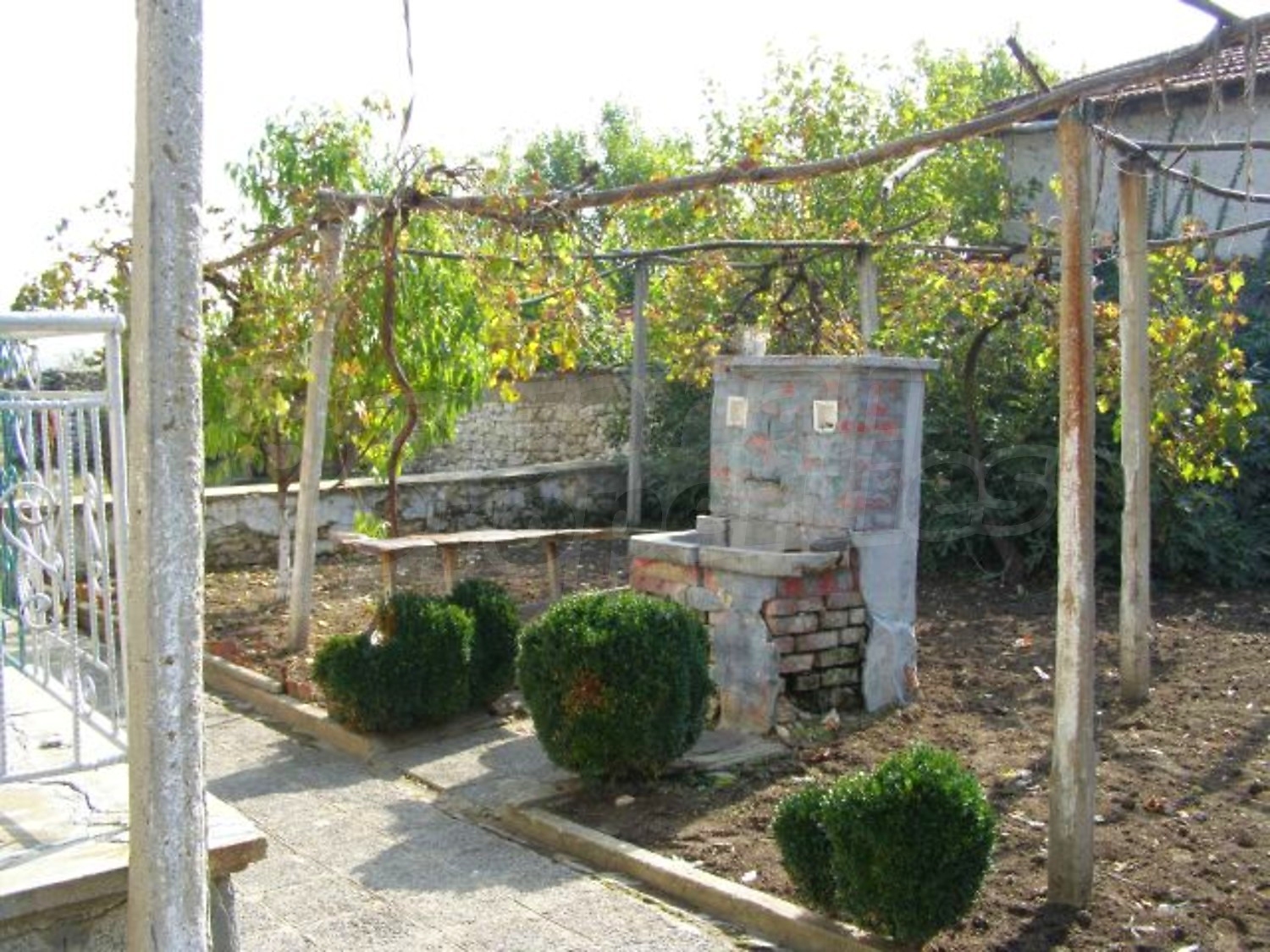 Gallery Picture 20