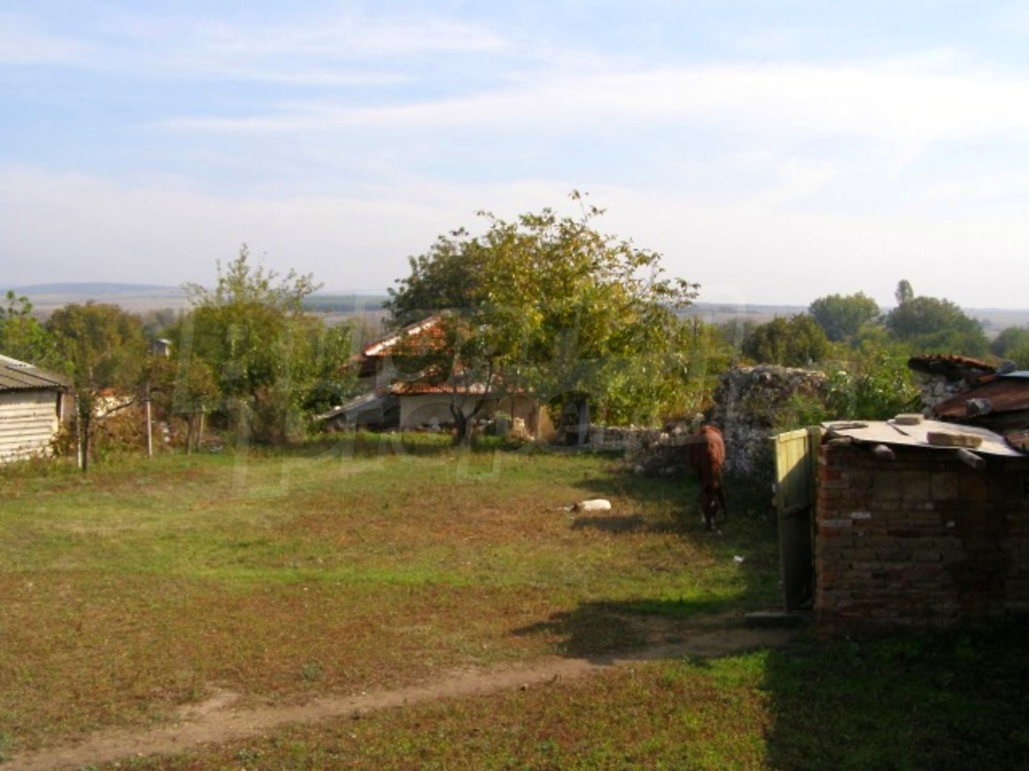 Gallery Picture 23