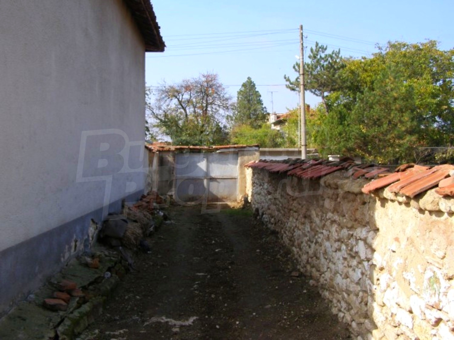 Gallery Picture 30