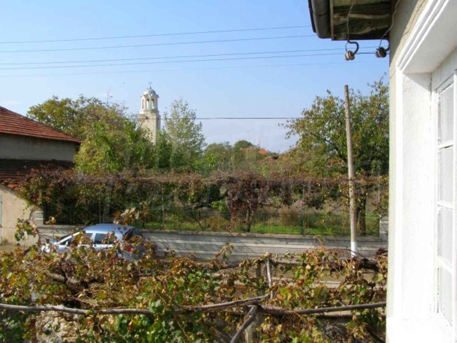 Gallery Picture 31